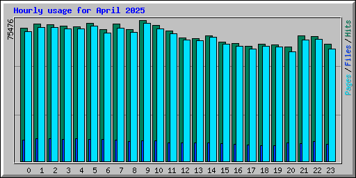 Hourly usage for April 2025