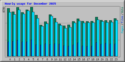 Hourly usage for December 2025